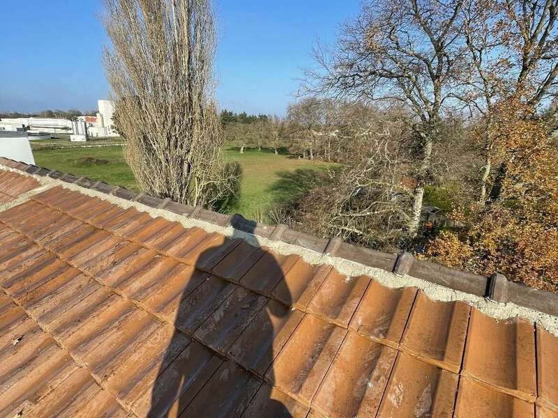 b31b2e9c-47c3-4829-84c3-e724db16e1af