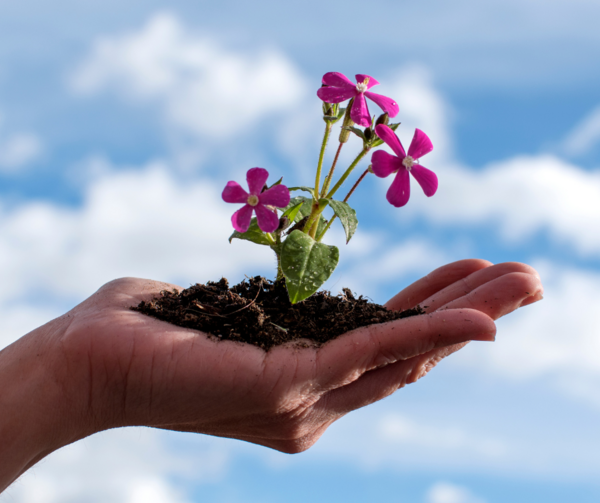 LES BASES DE LA SEXOTHERAPIE ( Un voyage vers l'épanouissement sexuel )