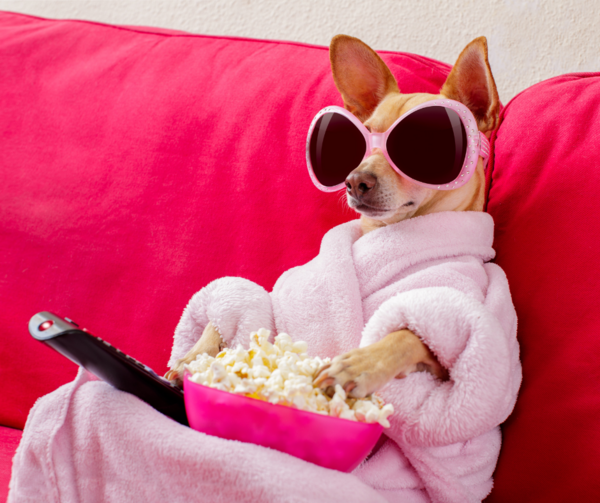 Comment les séries télévisées explorent-elles la psychologie humaine ?