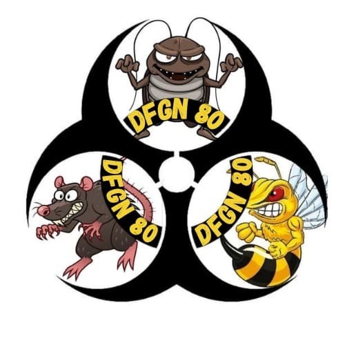 Logo DFGN 80