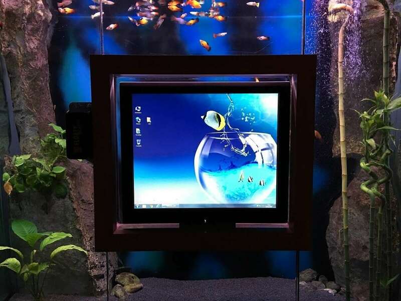 19w5nqsgkf_1593441715