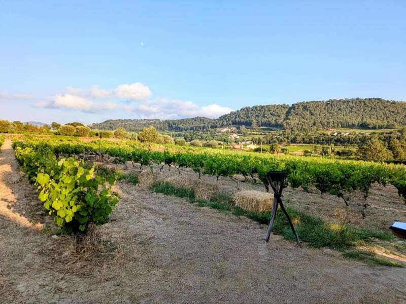 4689ba53-ee6a-4ce4-ab77-26b110afa805