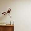 mains appliquant pression sur dos nu, ambiance zen, shiatsu