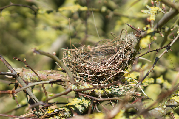 Mieux vivre les transitions grâce à l’hypnose