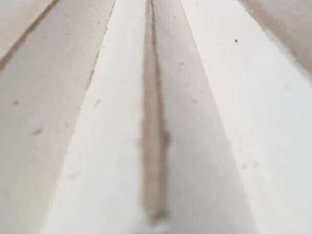 155202445_1081028112377421_7669366423320085667_n