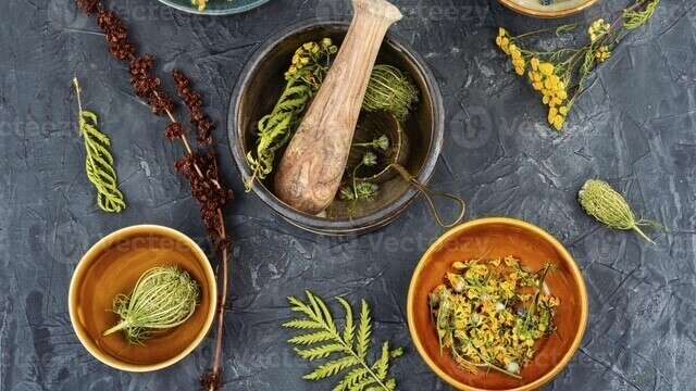 Phytothérapie : Les plantes, oui...mais bien choisies !