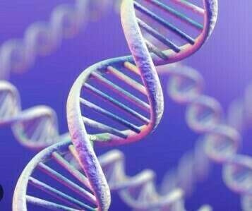 Epigénétique : quel impact sur notre santé ?