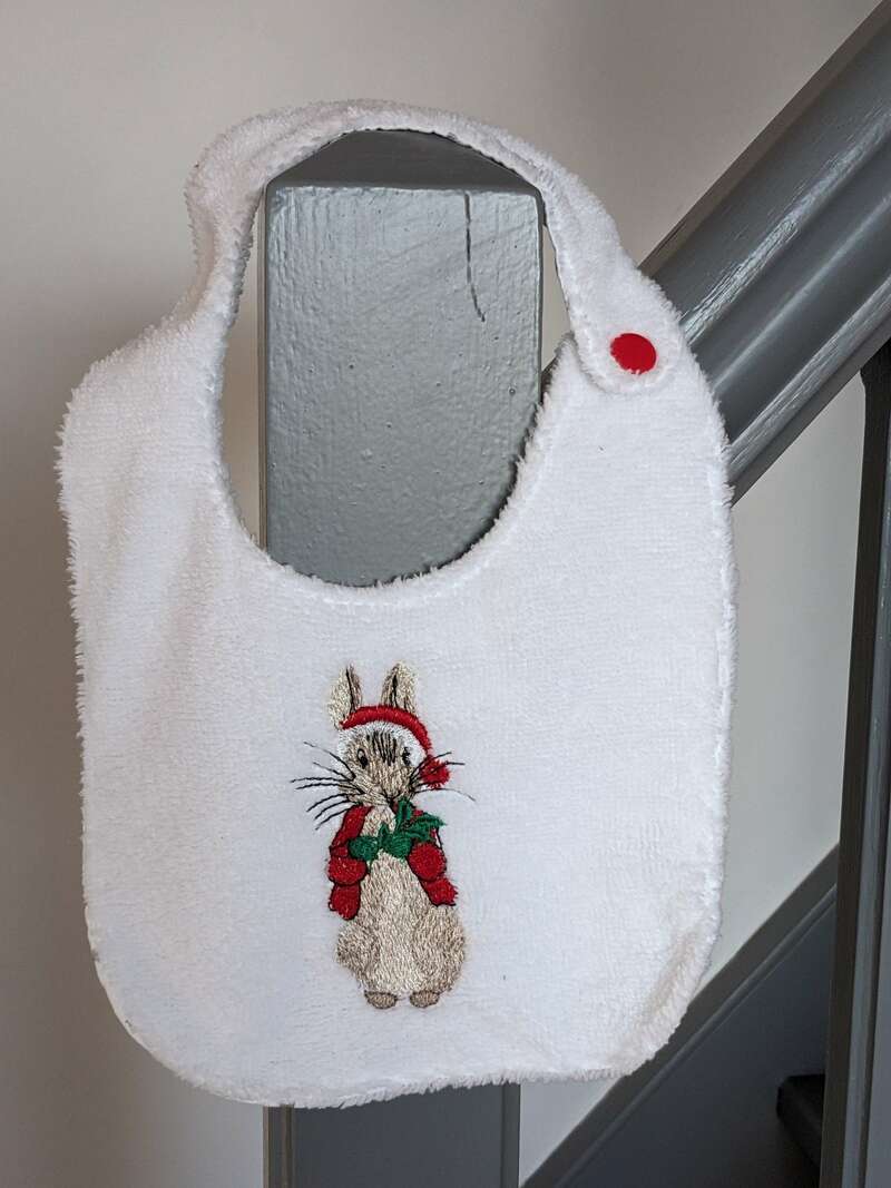 pxl_20231119_081731401-mp