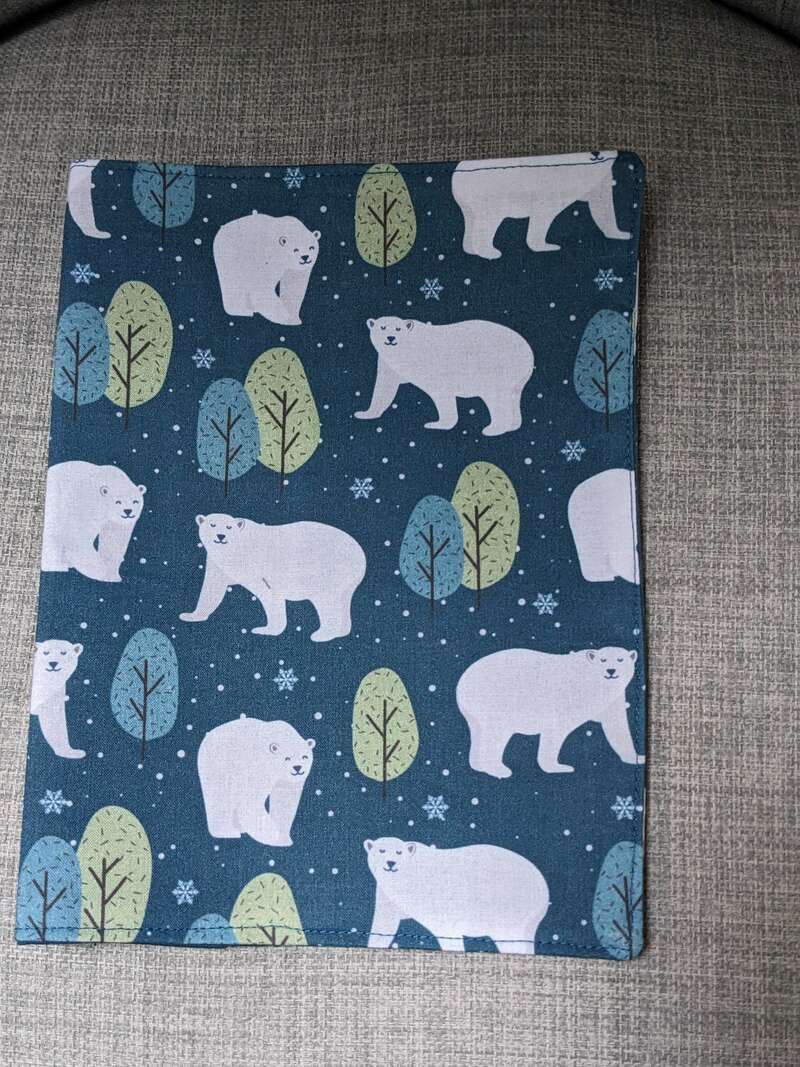 pxl_20240427_071035504-portrait-original