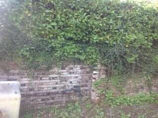 mur_tortisambert_avant_travaux_4