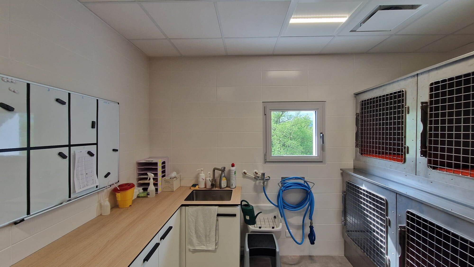 Hospitalisation vétérinaire à Davézieux