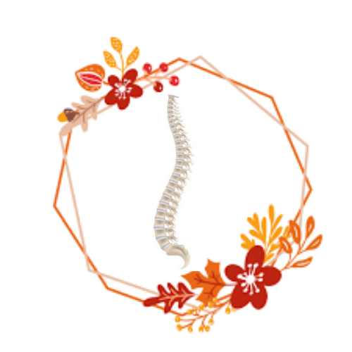 Logo Méghan BRUNEAU chiropracteur