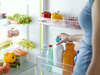 diète personnalisée avec des aliments variés et équilibrés