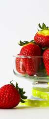 adn en spirale avec des nutriments