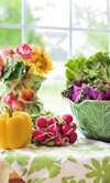 profil nutritionnel personnalisé avec des aliments variés