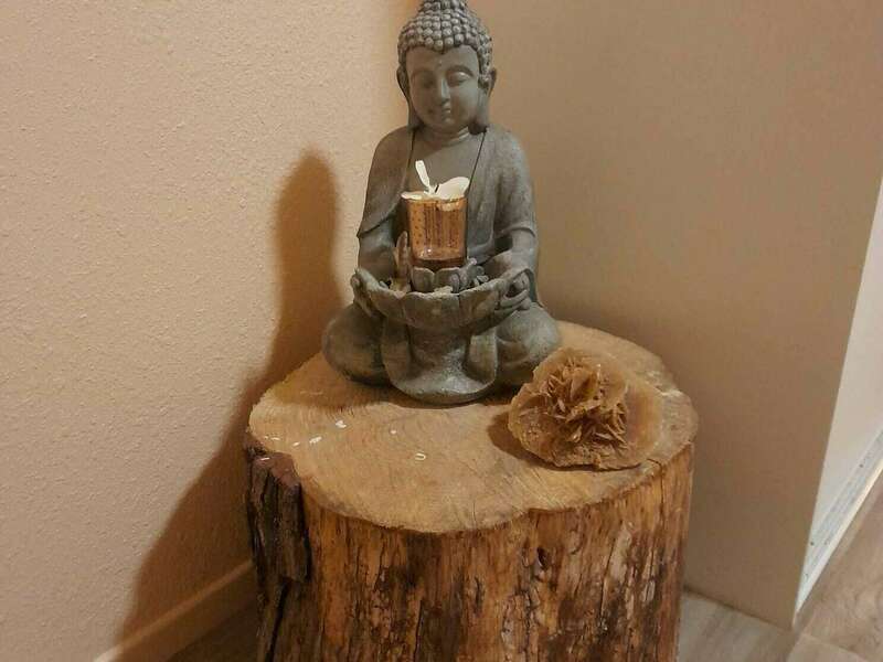 cabinet_420220214-3168667-pwou5u