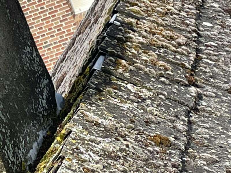 fb05abff-b7d0-4686-a83d-c14a3d39eeab20240724-2597390-1ua7t0z