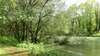 Pleine nature