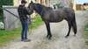 Un élève et son cheval