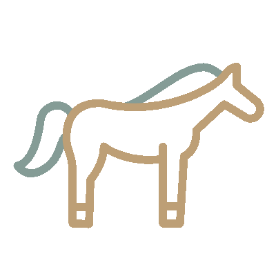 Wired outline 1153 horse  1