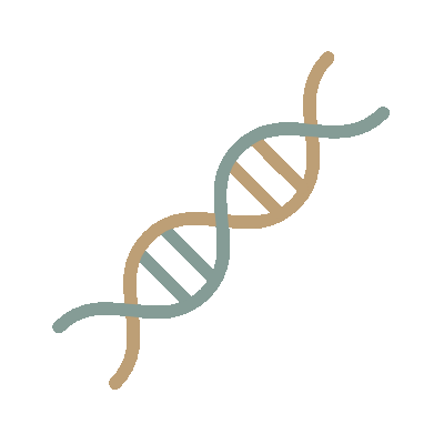 Wired outline 1278 dna structure
