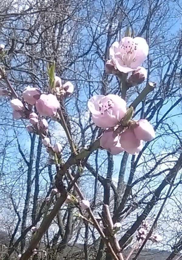C'est le printemps. Etes-vous prêt-e ?