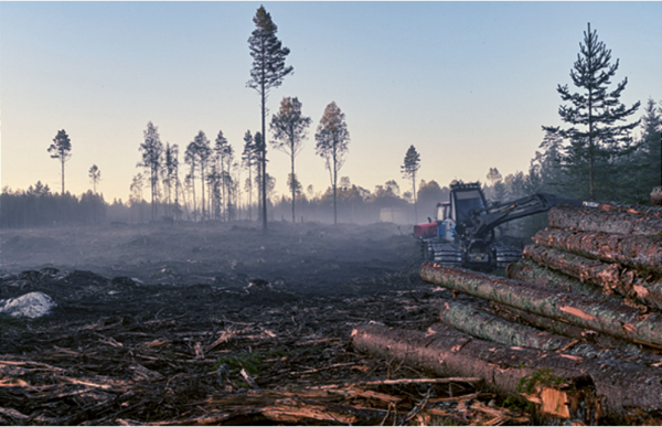 Le principe de prévention et de correction des atteintes environnementales