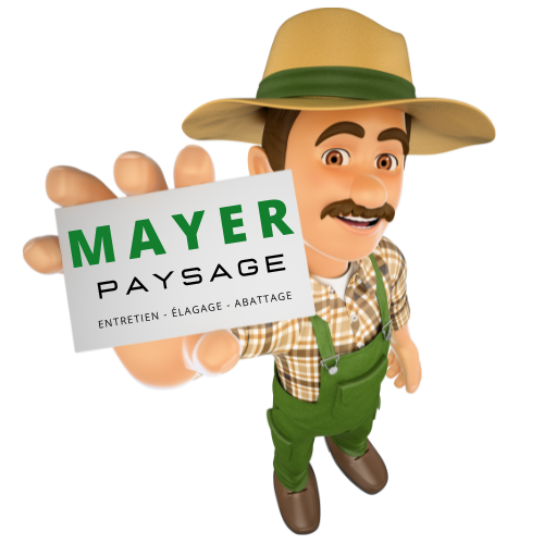 Logo MAYER PAYSAGE Logo MAYER PAYSAGE