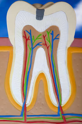 DANGERS DES BARS À SOURIRE