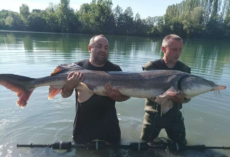 received_409579420949724_1_20221025-3601319-1amnae