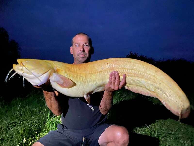 received_155546113334791_1_20221025-3601319-11od88x