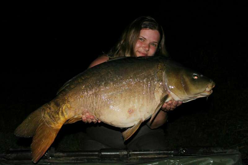 img-20220803-wa000520221025-3601319-8drmtg