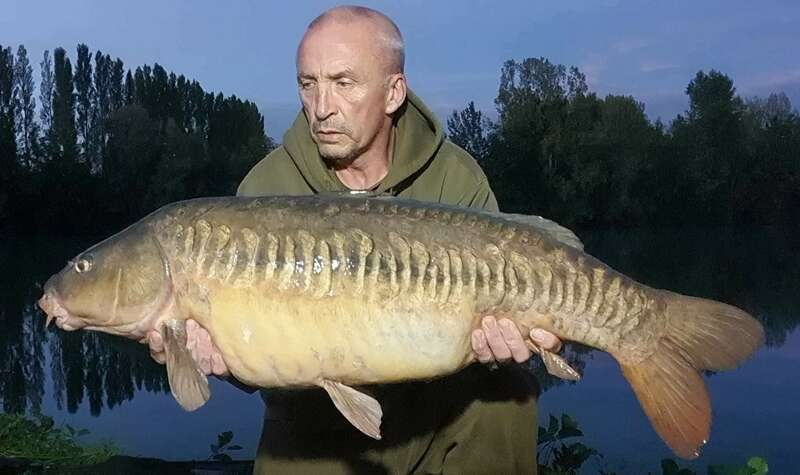 received_334875286539259920221025-3601319-166r2xf