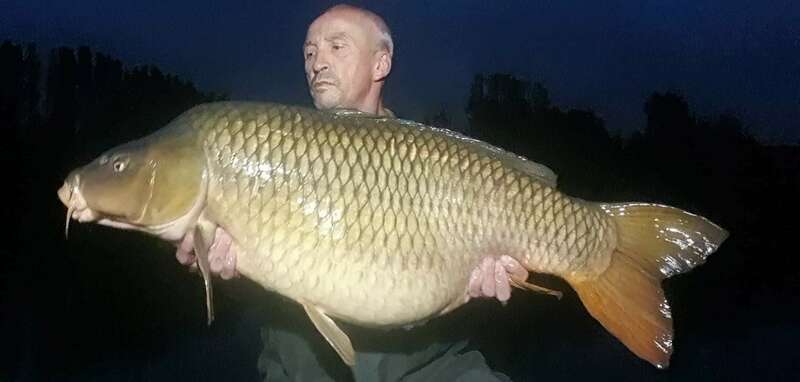 received_85773591519691420221025-3601319-13r7w7p