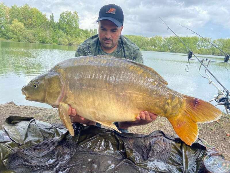 fb_img_166115539345720221025-3601319-1hs6584