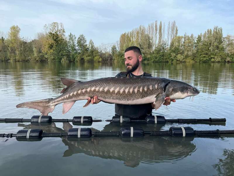 received_625965189018460_1_