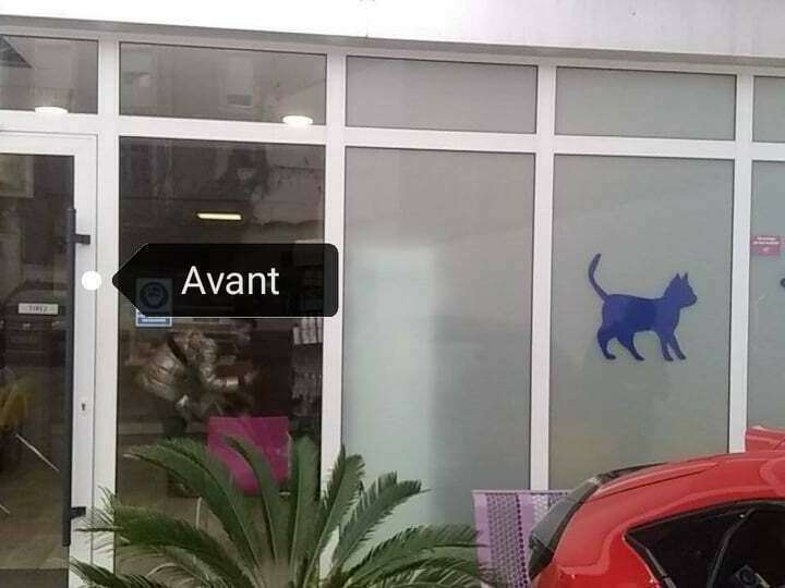 247436521_358809795928485_9139420908031970702_n