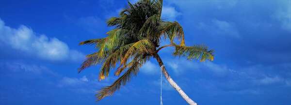 Faut-il louer son logement pendant ses vacances ?