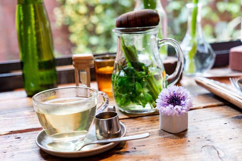 Comment préparer une Tisane et profiter des bienfaits des plantes