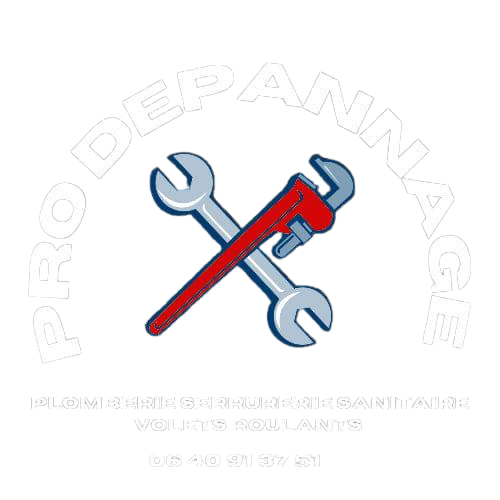 PRO DEPANNAGE logo