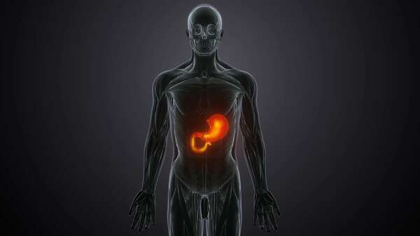 Comment booster son métabolisme