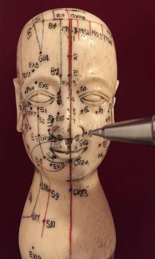 Fibromyalgie, tendinites et lombalgies : et si le méridien du Foie expliquait vos douleurs chroniques ?
