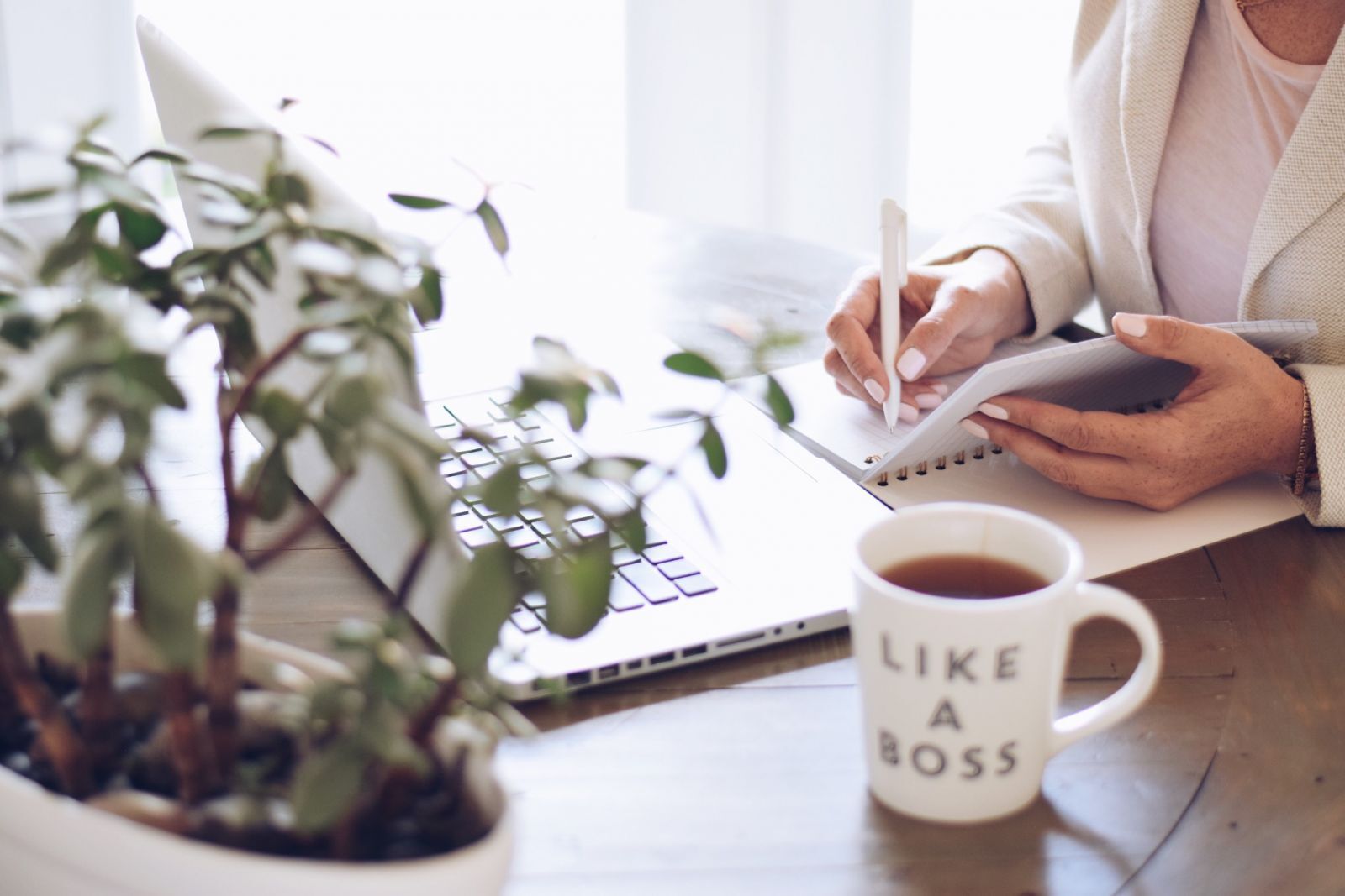 Image de la banniere