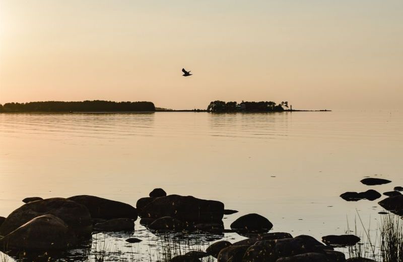  Apollux Patrimoine, cabinet de conseils en gestion de patrimoine à Boulogne Billancourt