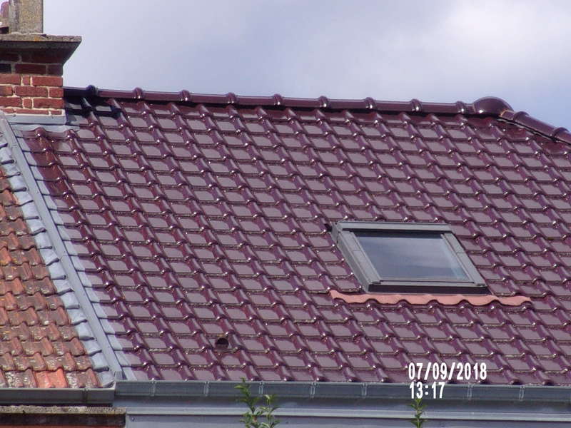 101_013420190218-1491955-mmica8