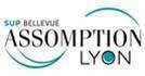 Ecole assomption Bellevue