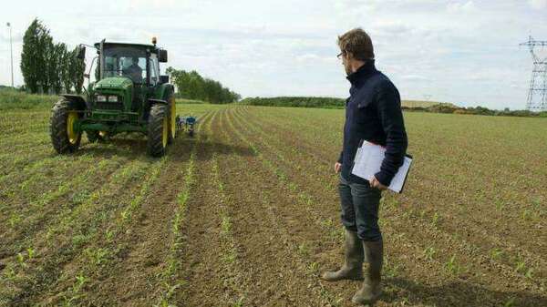 Revalorisation exceptionnelle des limites d’application de l’exonération des plus-values en fonction des recettes des entreprises agricoles.