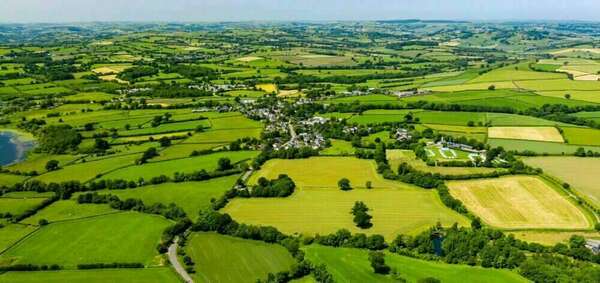 Prorogation des exonérations temporaires de cotisation foncière des entreprises et de taxe foncière sur les propriétés bâties dans les zones de revitalisation des commerces en milieu rural.