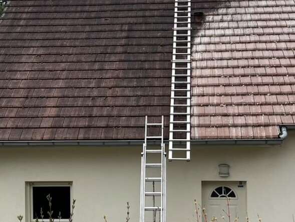 5e3f3eb0-0cef-4e10-9096-f7dfba2d7664