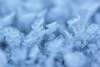 toiture en hiver